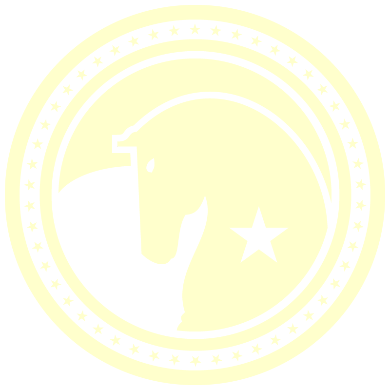 Action Party US Logo